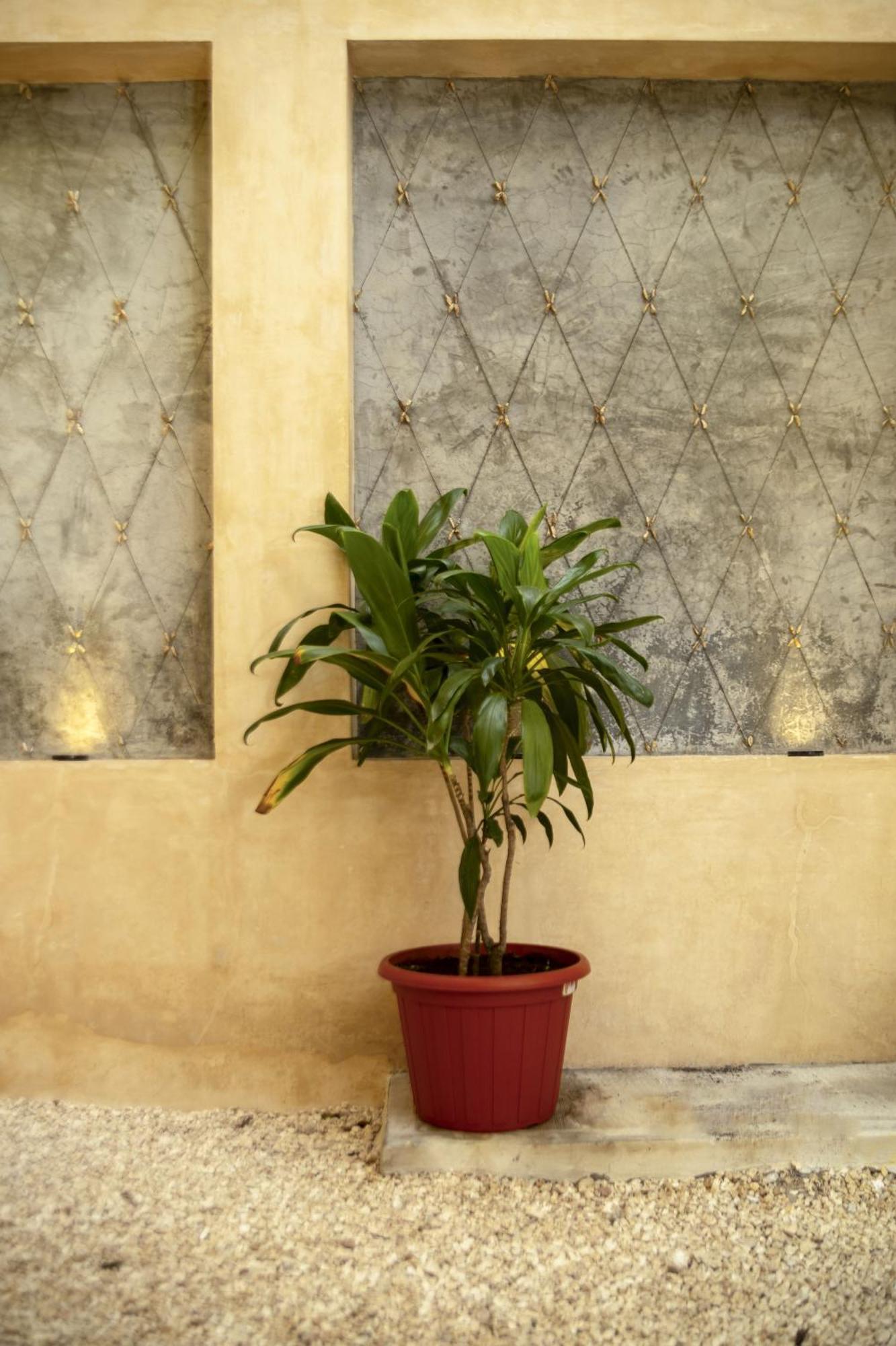 Casa Marco'S Hotel Valladolid  Ngoại thất bức ảnh